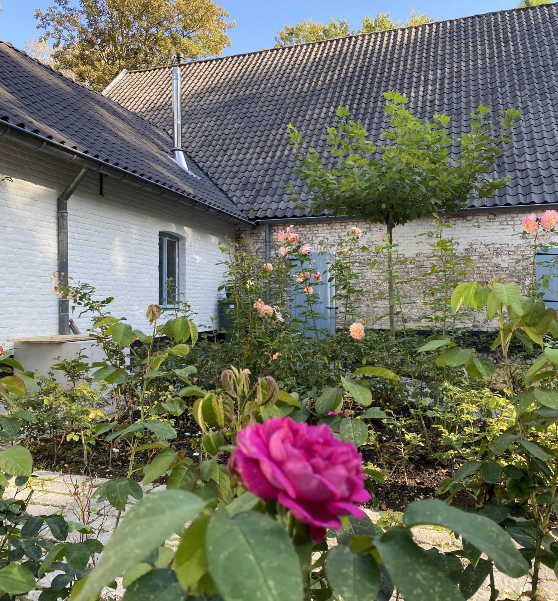 Cottage Landgoed Frymerson Sint Odiliënberg Buitenkant foto