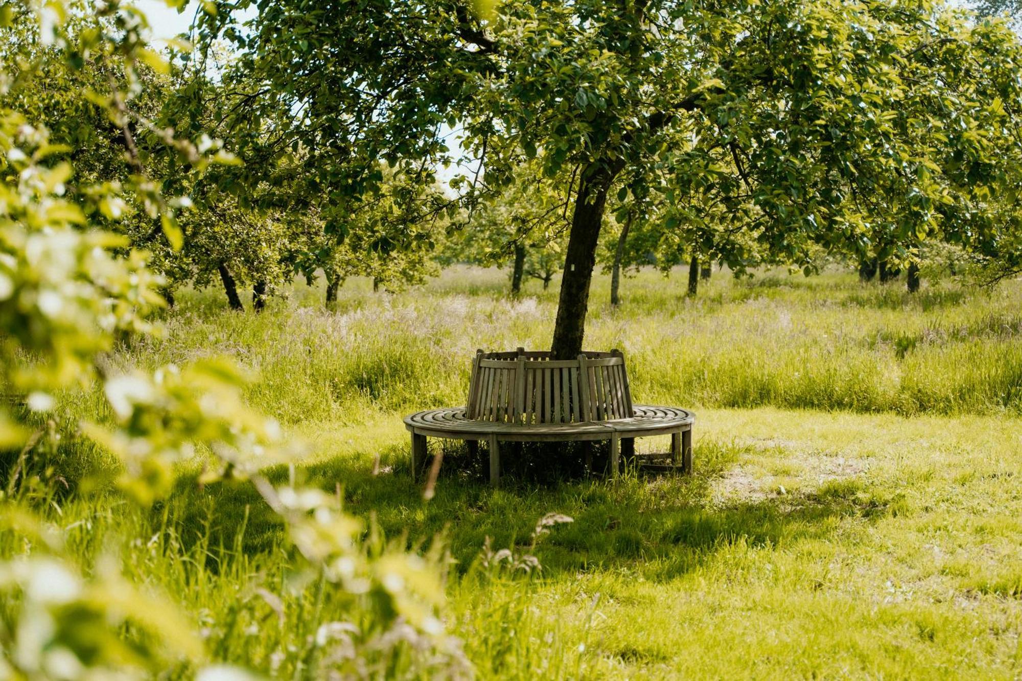 Cottage Landgoed Frymerson Sint Odiliënberg Buitenkant foto