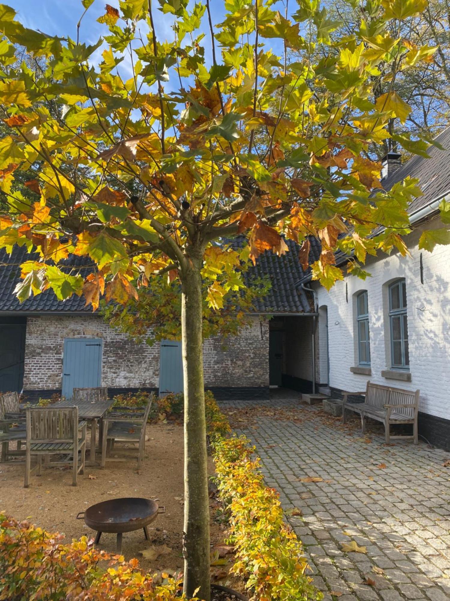 Cottage Landgoed Frymerson Sint Odiliënberg Buitenkant foto